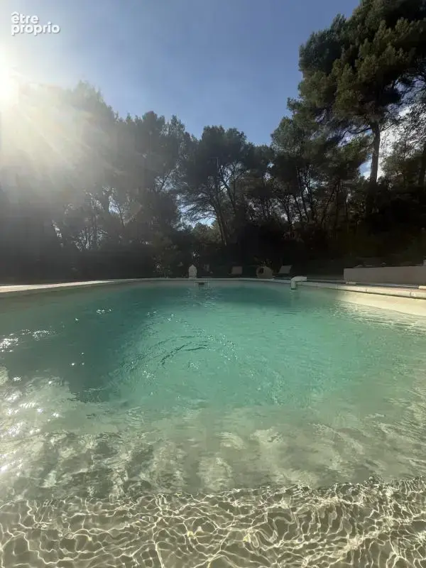 Maison au coeur de la pinede avec piscine et garage - photo 2