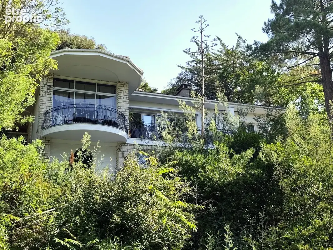 Maison 8 pièces 250 m² à vendre à Arcachon (33120) - photo 9