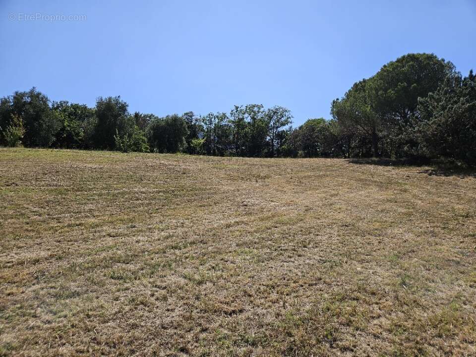 Terrain à ROQUEBRUNE-SUR-ARGENS