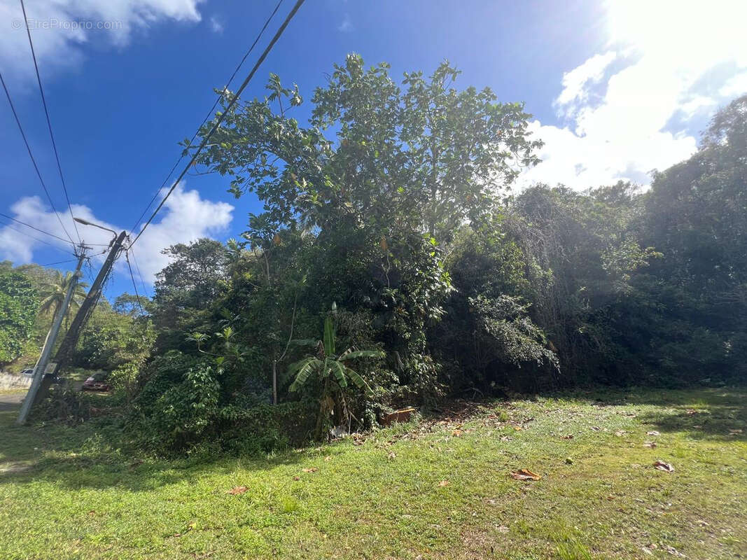 Terrain à LE GOSIER