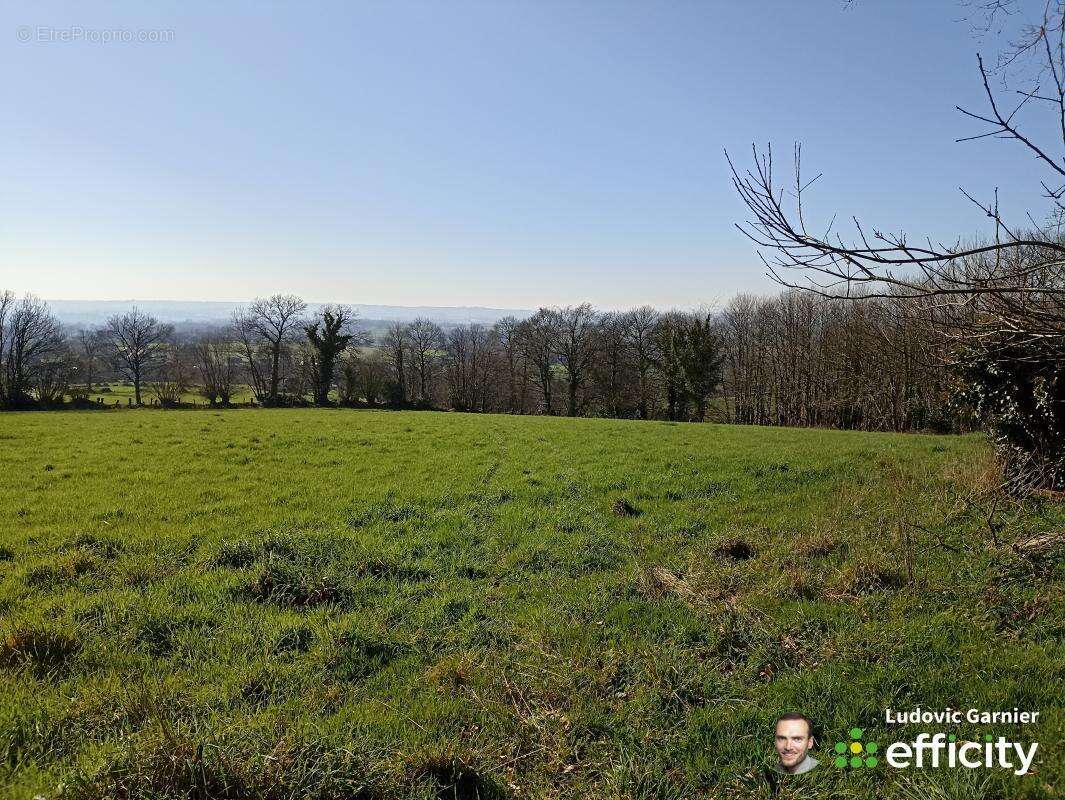 Terrain 11600 m² à Romagny  - photo 2