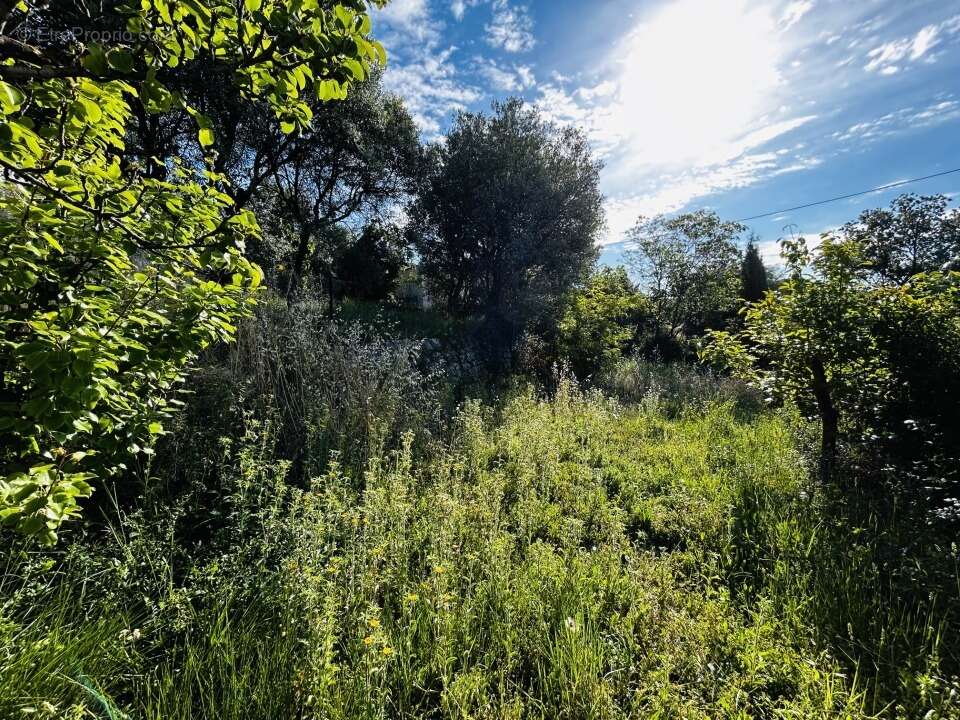 Terrain 1000 m² à Draguignan  - photo 4