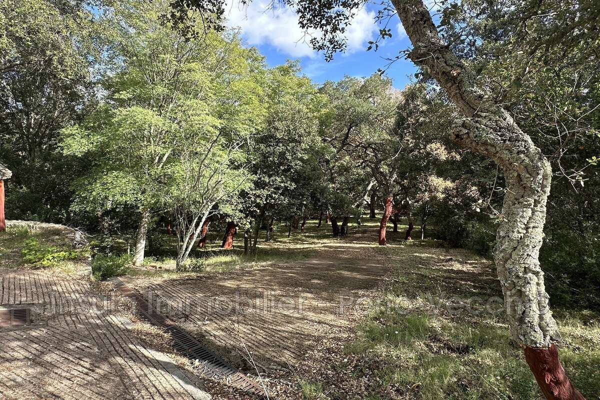 Maison 151 m² à Porto-Vecchio  - photo 9