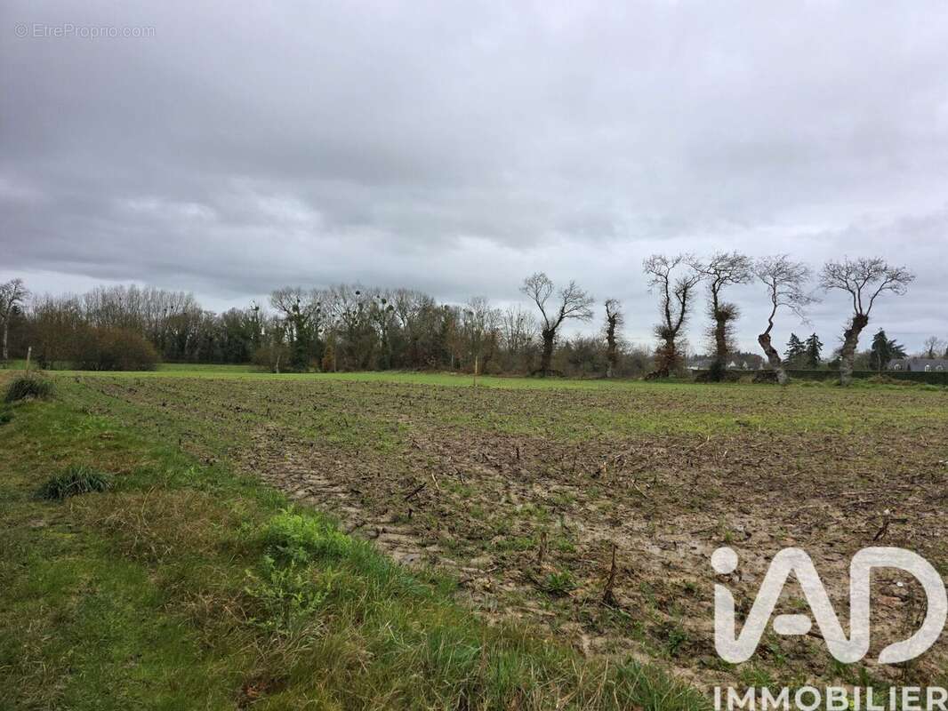 Photo 3 - Terrain à SAINT-TRIMOEL