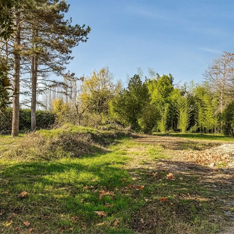 Maison à DECINES-CHARPIEU