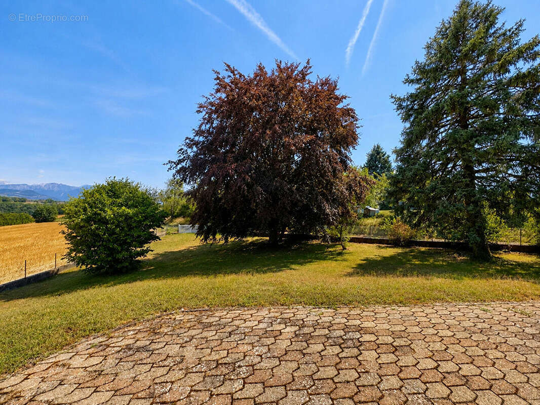 Maison individuelle à vendre 106 m², 3 chambres, sous-sol complet et terrain arboré de 2 000 m² - photo 6