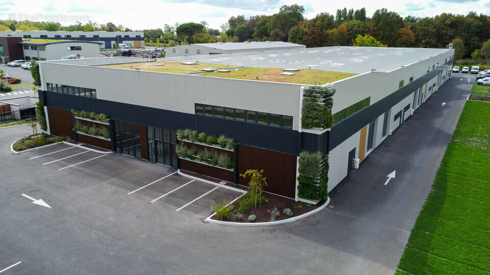 Commerce à SALLEBOEUF