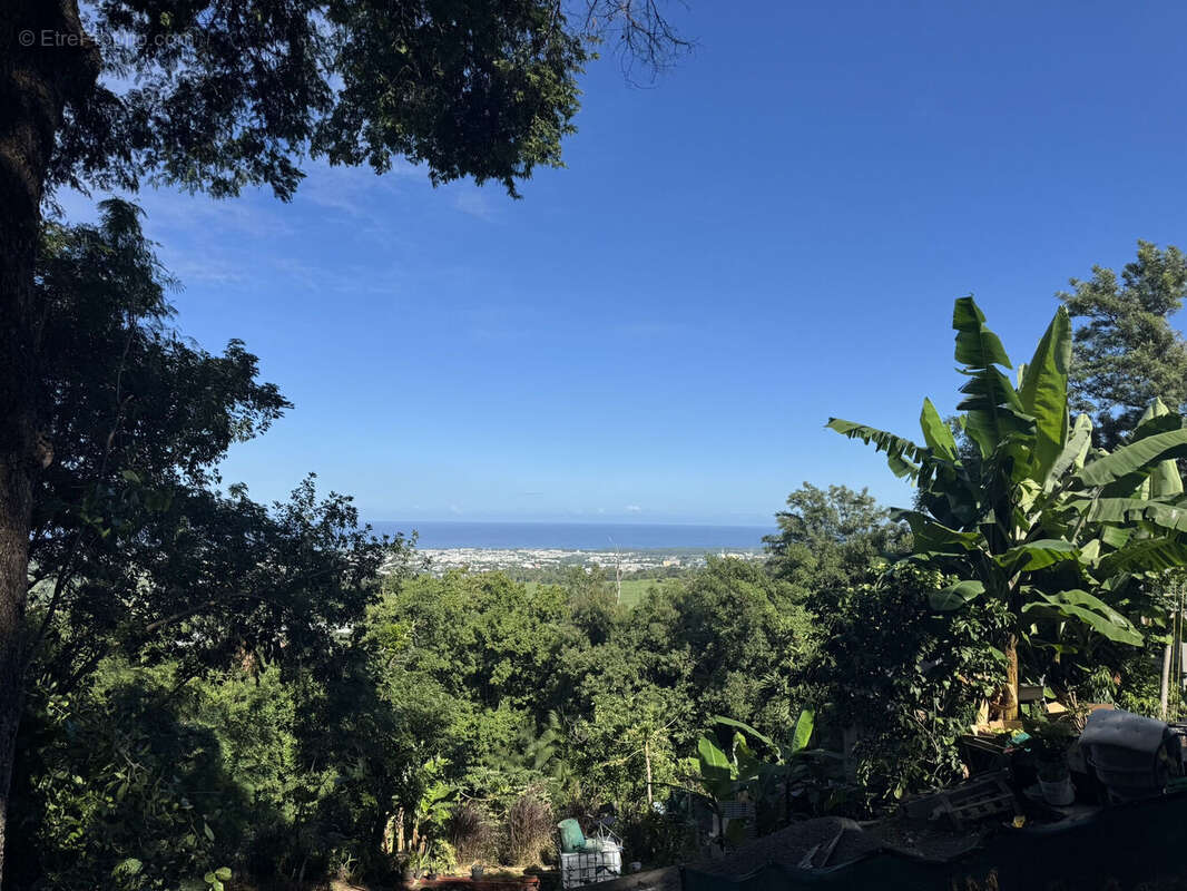 Photo 2 - Terrain à SAINT-LOUIS