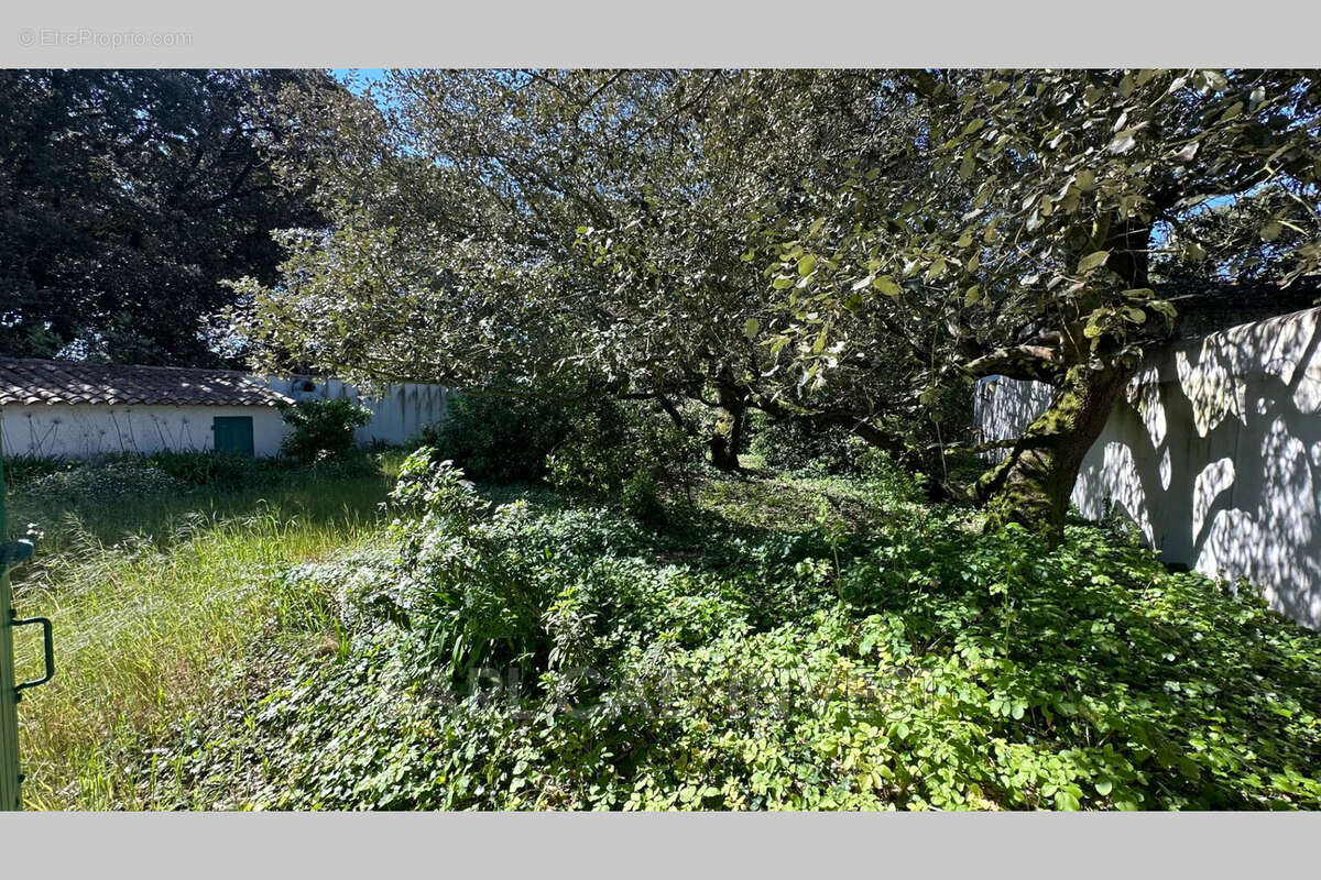 Maison 180 m² à La Couarde-Sur-Mer  - photo 4