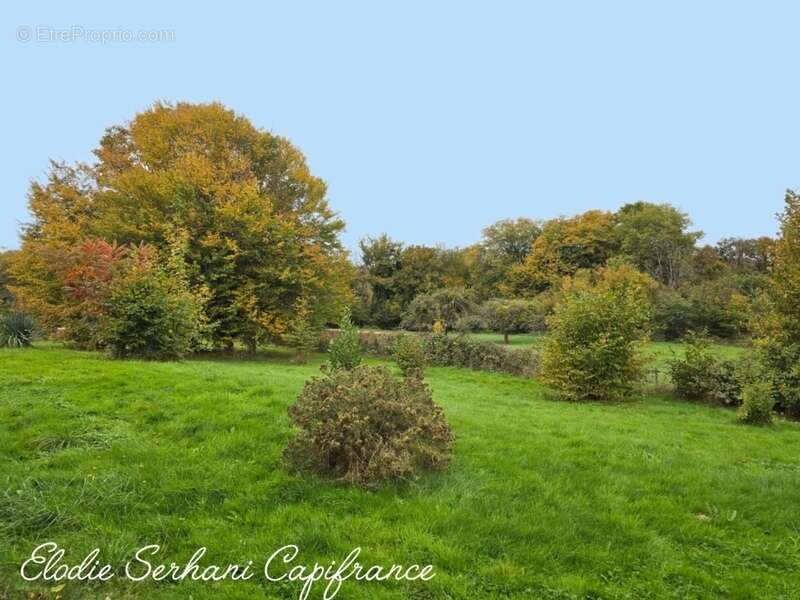 Maison à SAINT-MAURICE-COLOMBIER