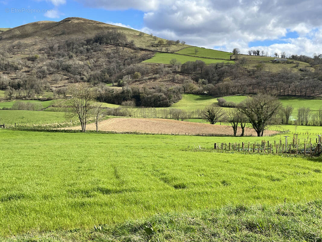 Photo 1 - Terrain à LACARRE