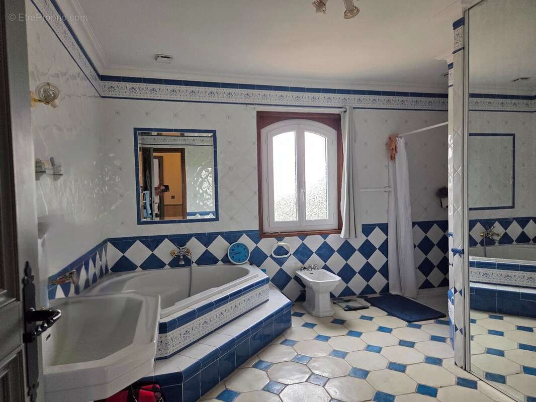 Maison T5, vue Pyrénées et piscine - photo 5