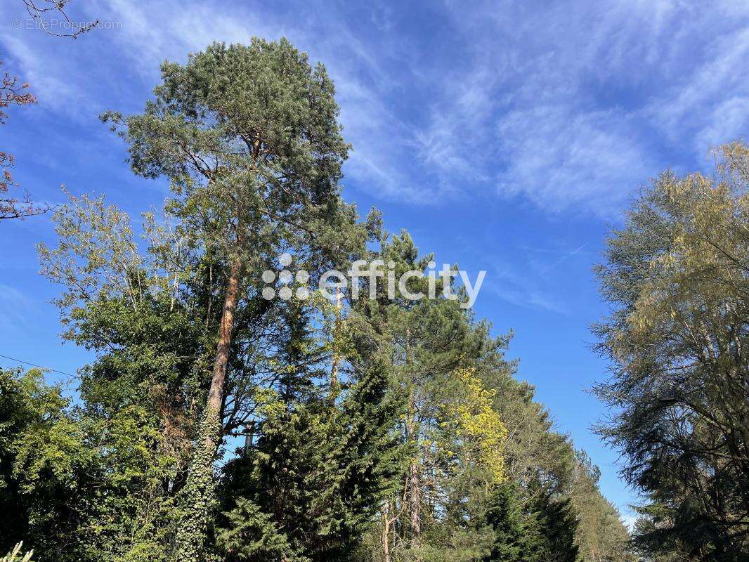 Appartement à VERSAILLES
