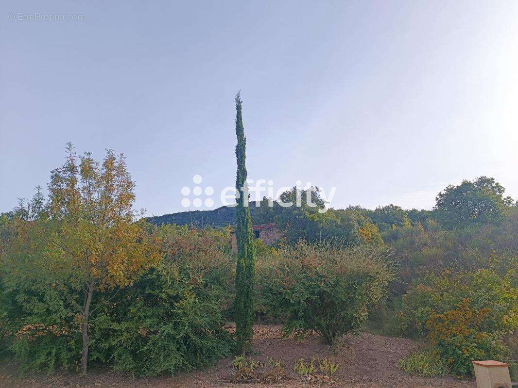 Appartement à LAMALOU-LES-BAINS