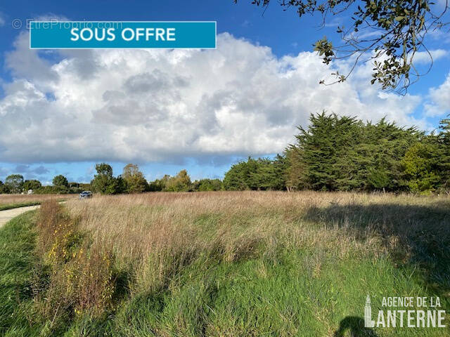 Terrain à SAINT-PIERRE-D'OLERON