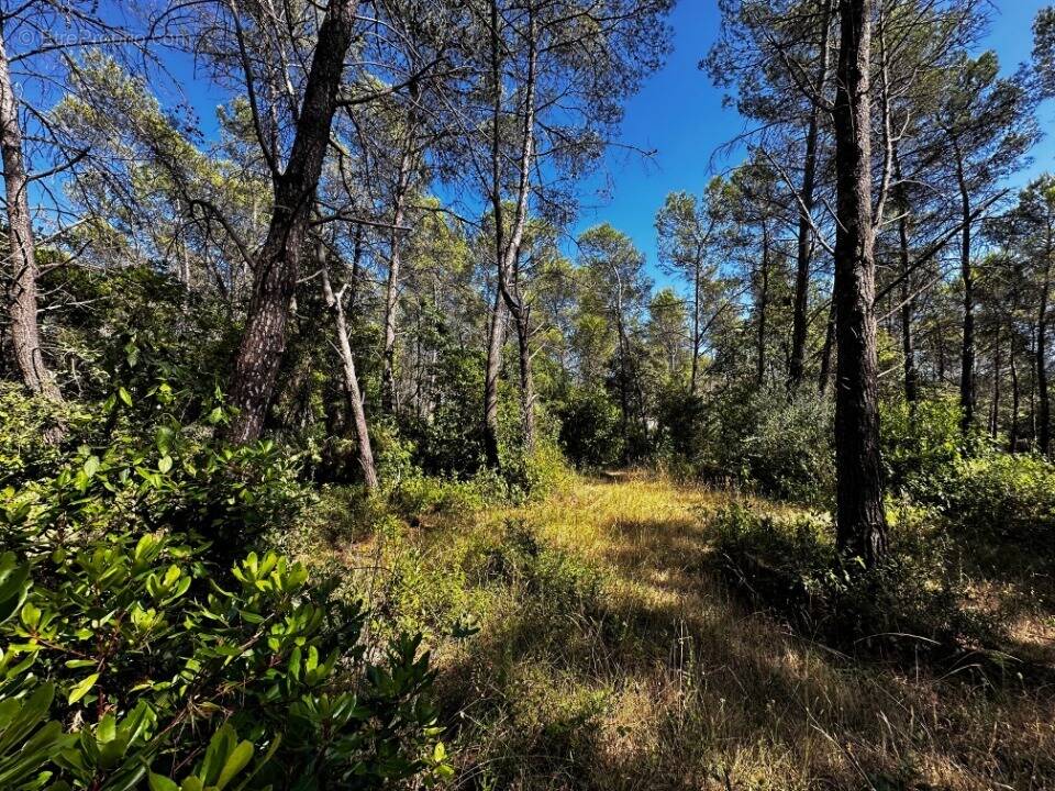 Terrain à BAGNOLS-EN-FORET