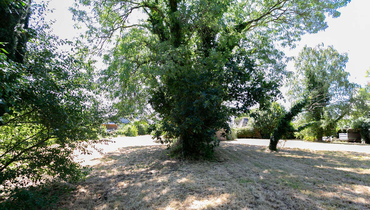 Névez - Propriété de caractère à proximité de la plage - photo 3