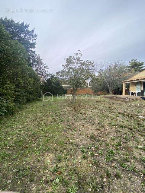 Terrain à VILLENEUVE-LES-MAGUELONE