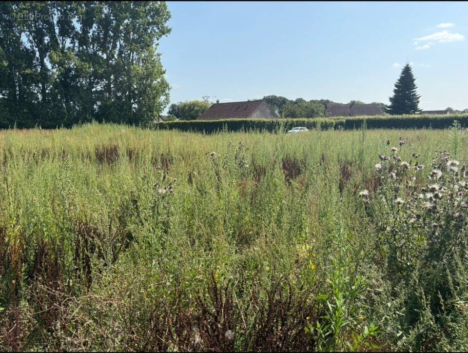 Terrain à BARENTIN