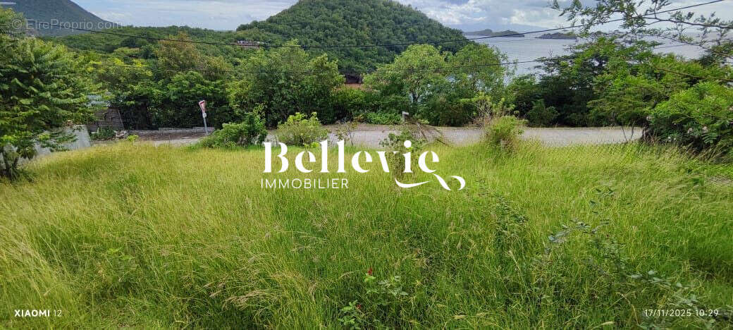 Terrain à TERRE-DE-BAS