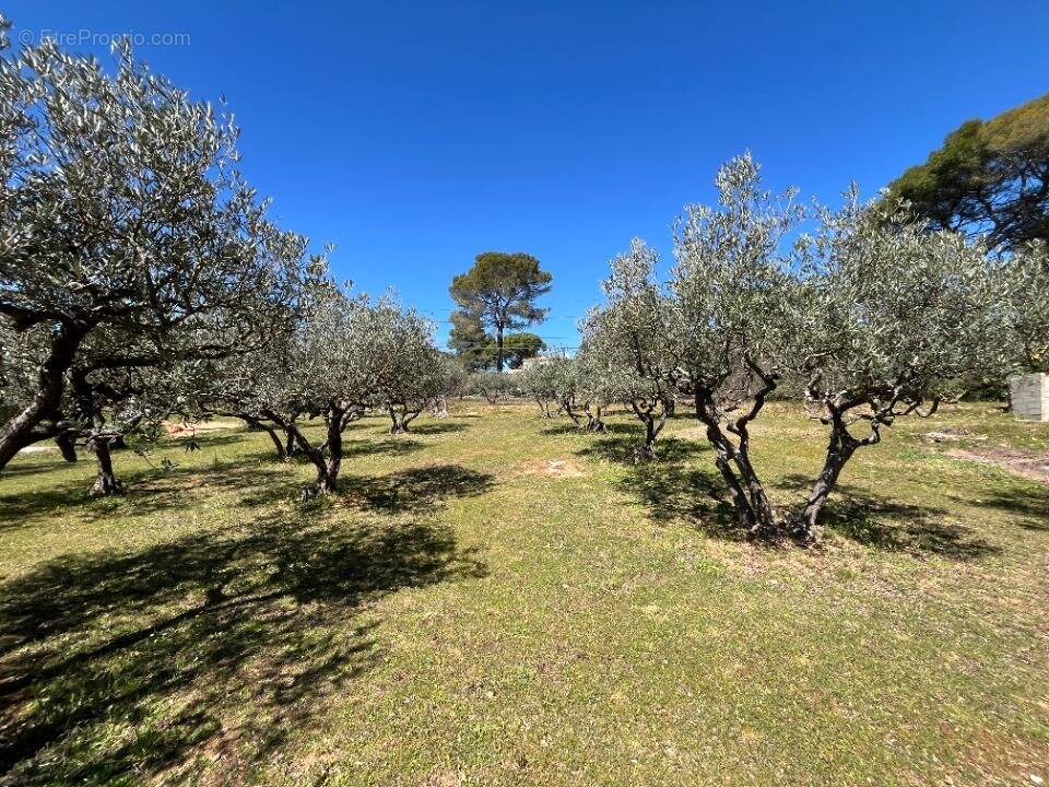 Terrain à SALERNES