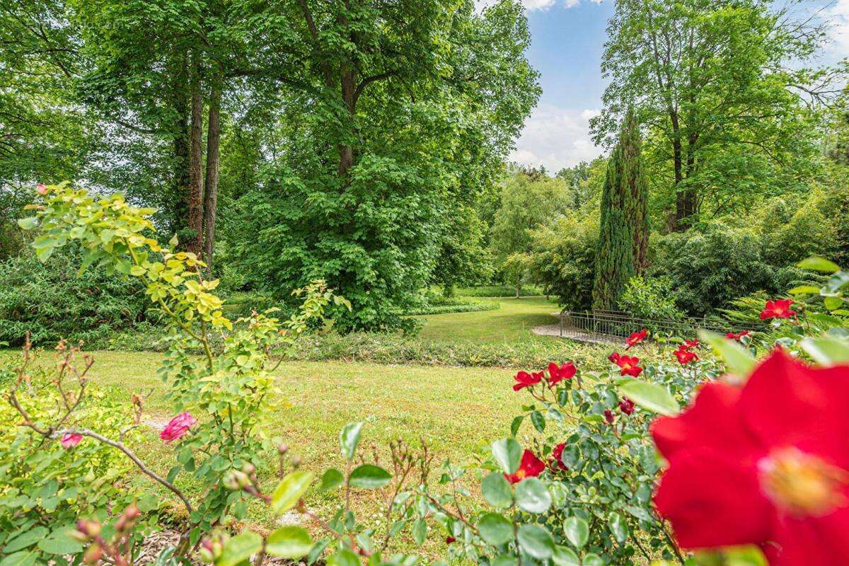 Maison à BERGNICOURT
