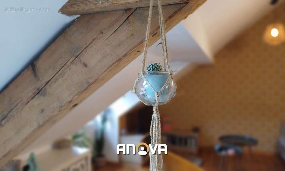 Appartement à SCHILTIGHEIM