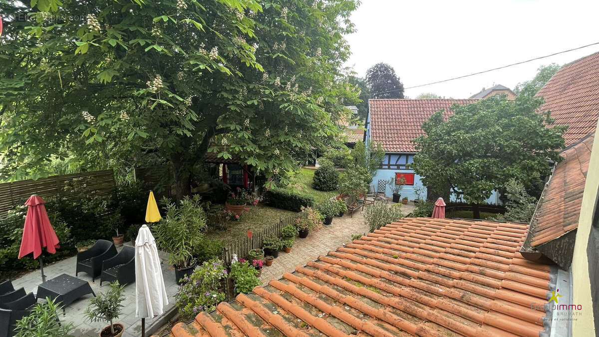 Maison à BISCHWILLER