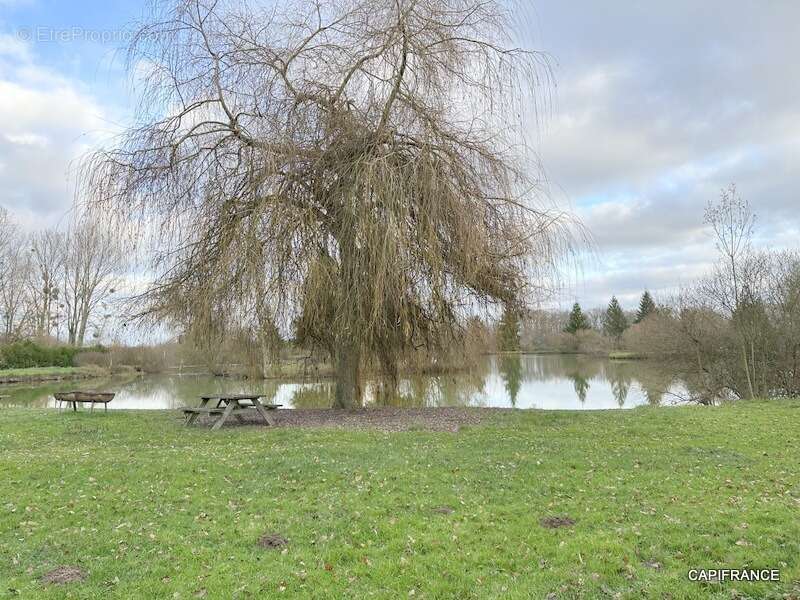 Terrain de loisir avec étangs proche de la Ferté-Bernard (72400) - photo 3