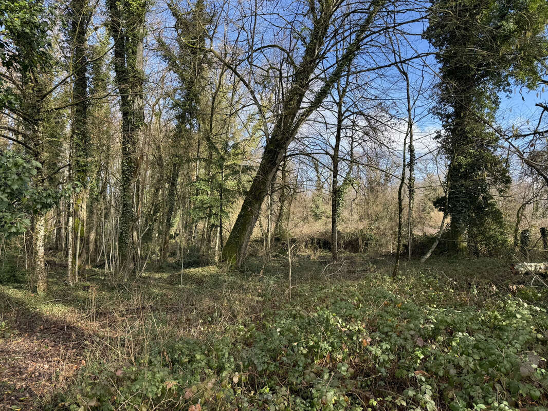 Terrain à SAINT-PHAL