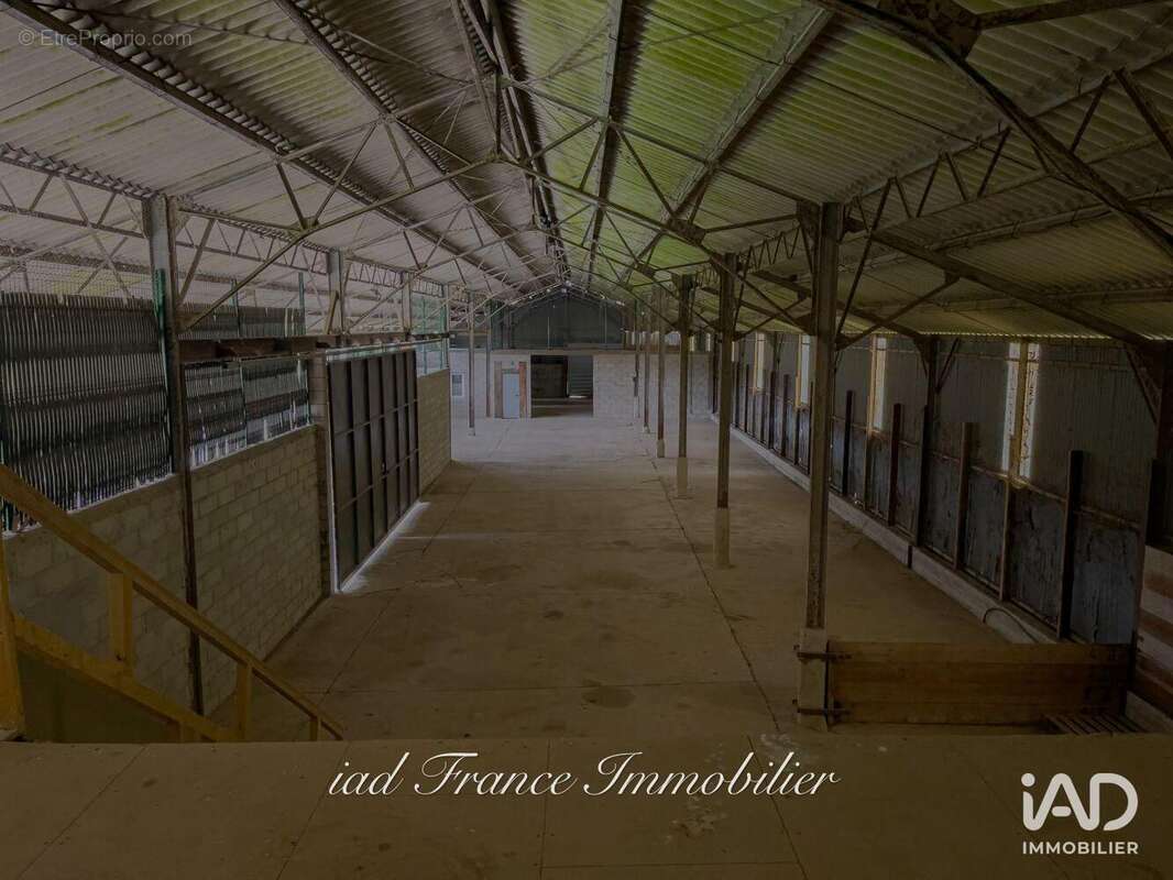 Photo 4 - Commerce à BERVILLE