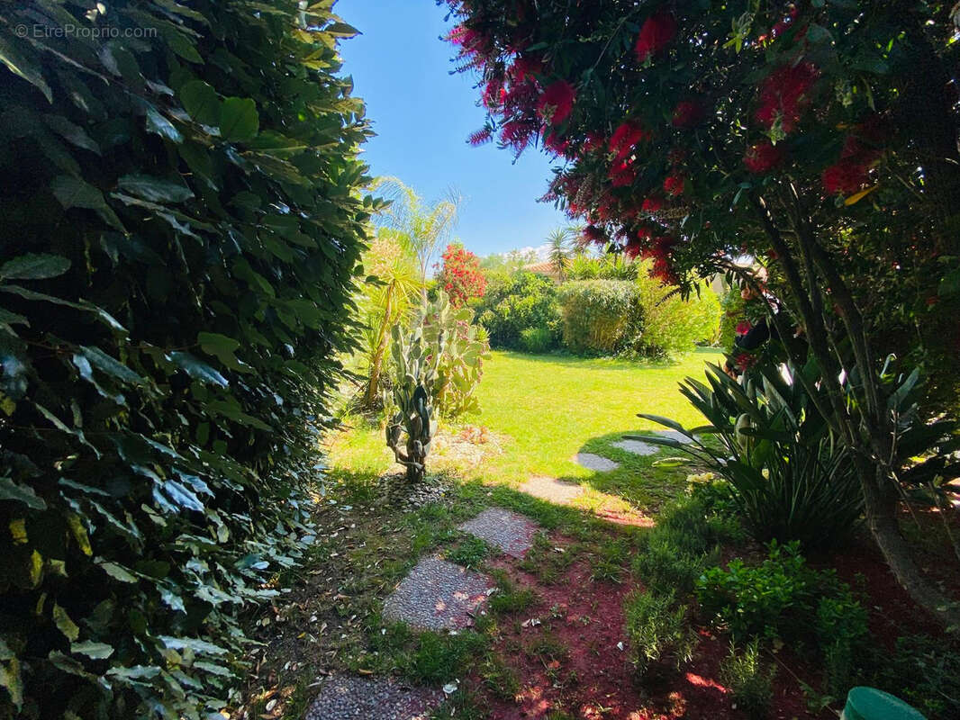 Maison à SAINT-CYPRIEN