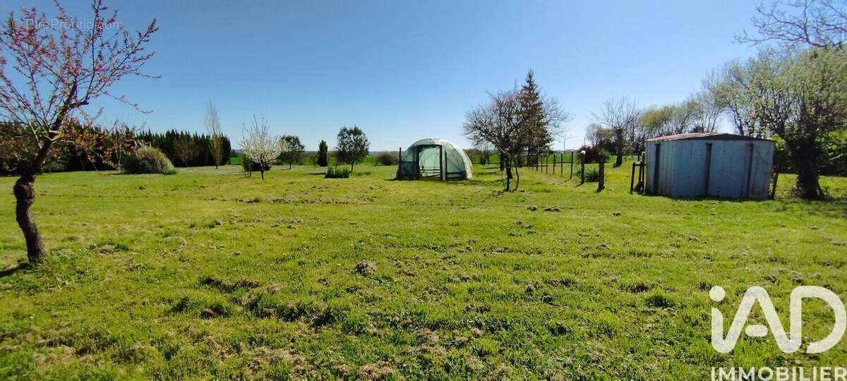 Photo 9 - Terrain à NERE