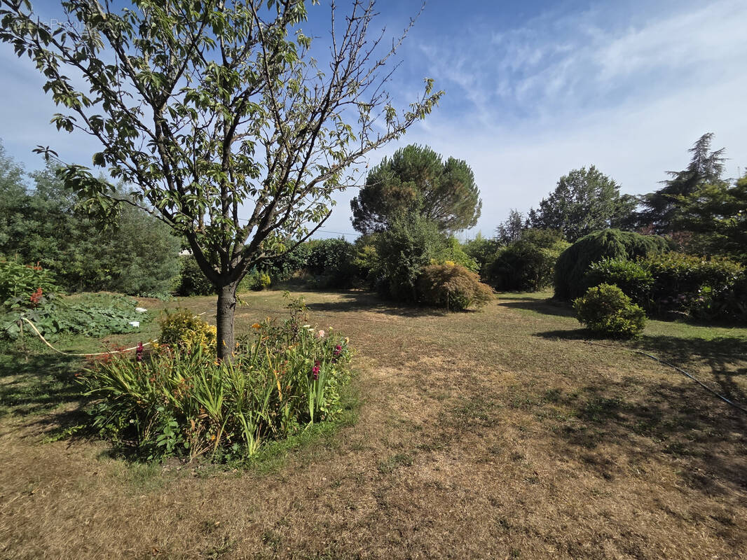 Terrain à TOURNEFEUILLE