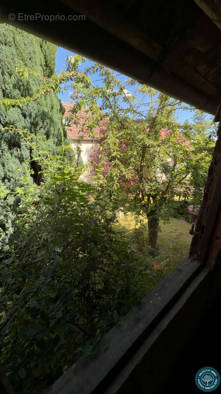 COUP DE CŒUR AU KOCHERSBERG — Authentique corps de ferme alsacien sur 14,93 ares - photo 11