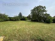 Terrain à CHALAUTRE-LA-GRANDE