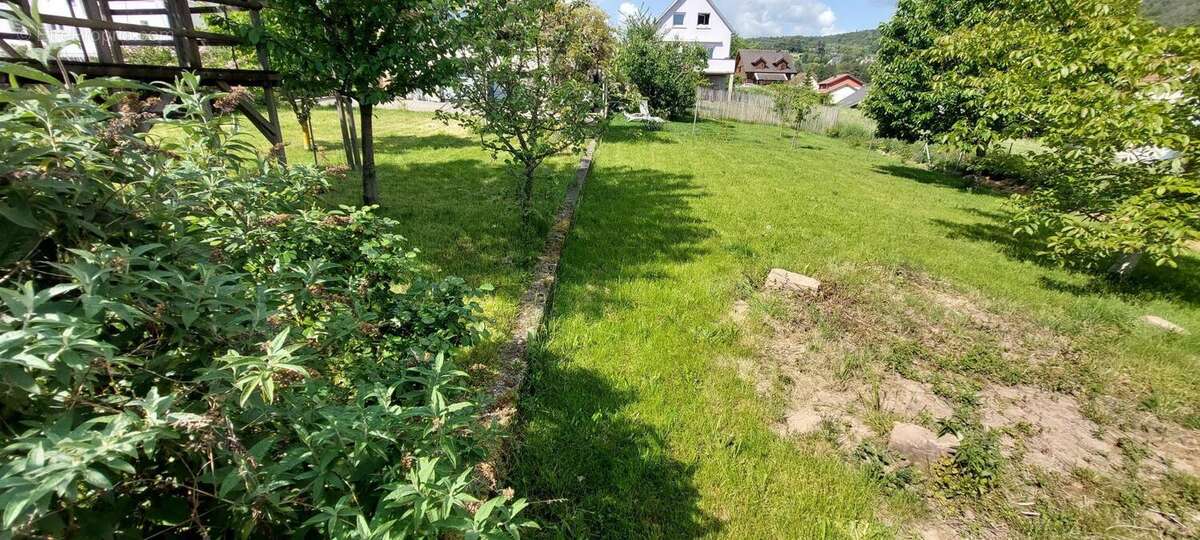 Photo 3 - Terrain à LUTZELHOUSE