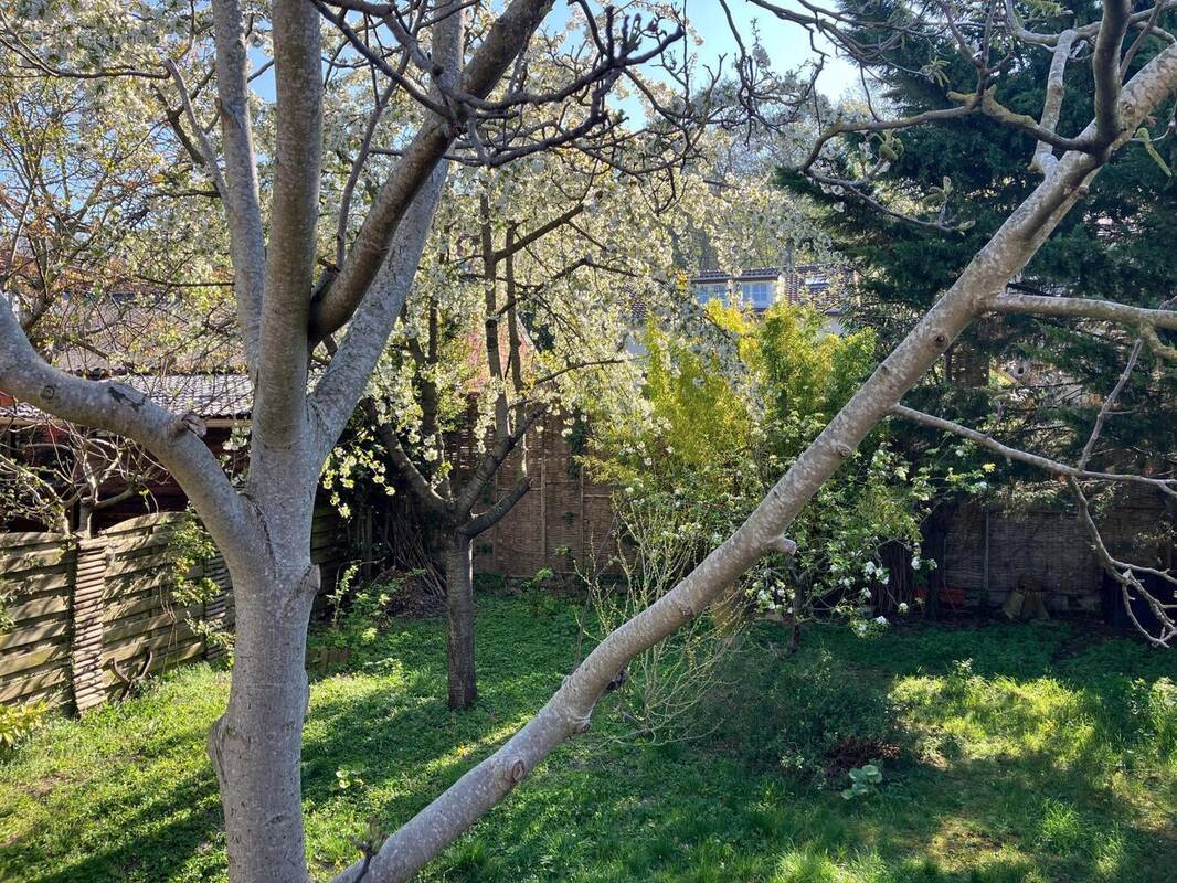 Photo 1 - Maison à MONTREUIL