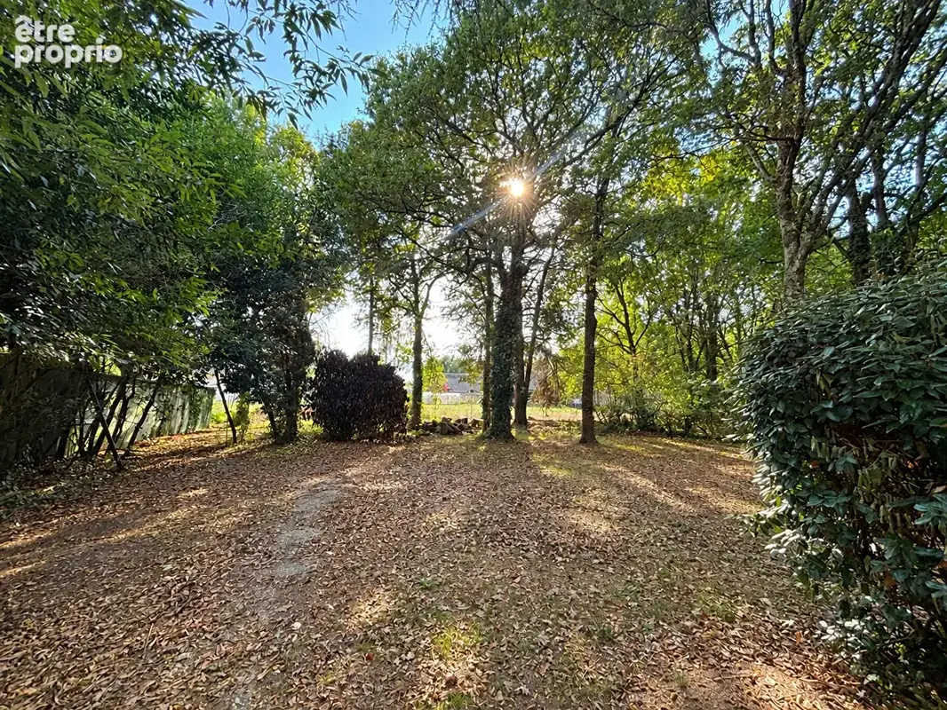 Terrain à SAINT-LYPHARD