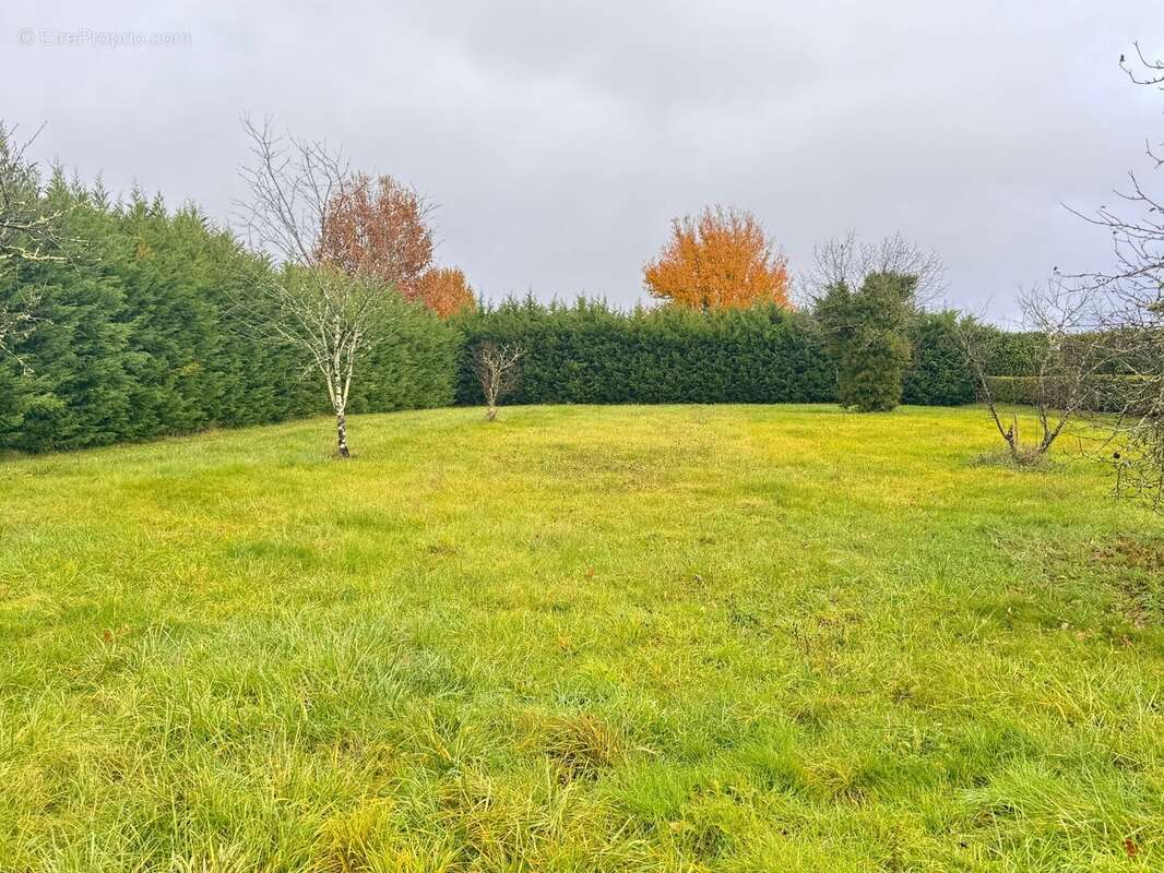 Terrain à LISLE