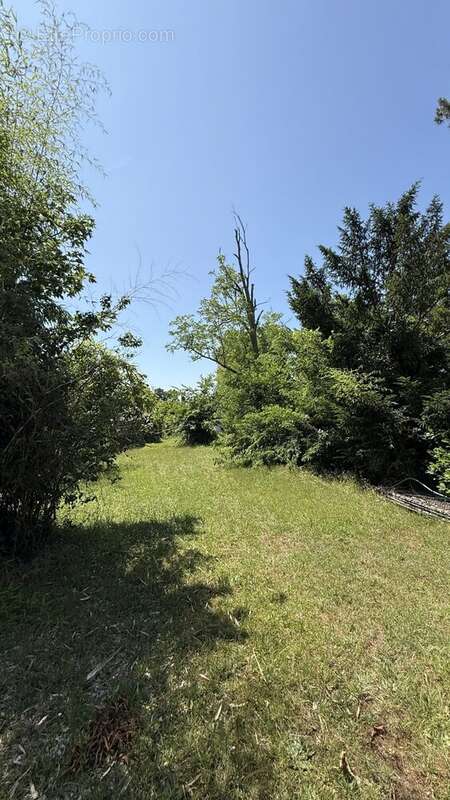 Terrain à GRADIGNAN