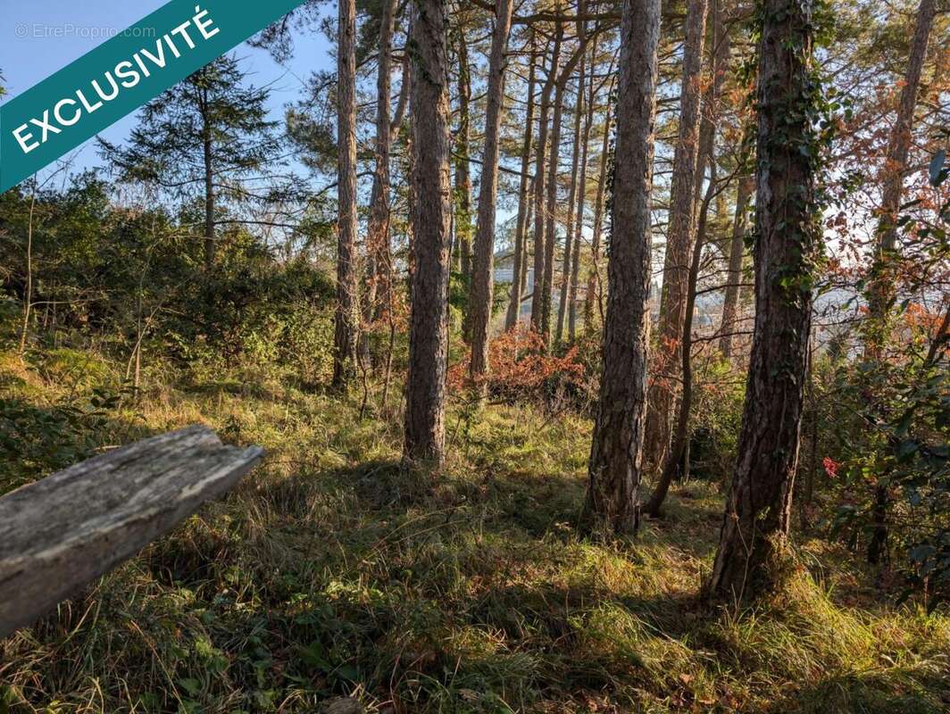 Photo 7 - Terrain à PRIVAS