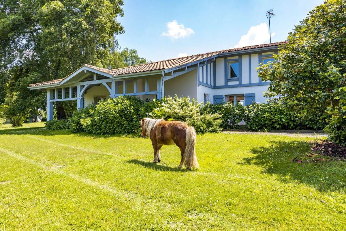 Maison à SAINT-JEAN-DE-MARSACQ