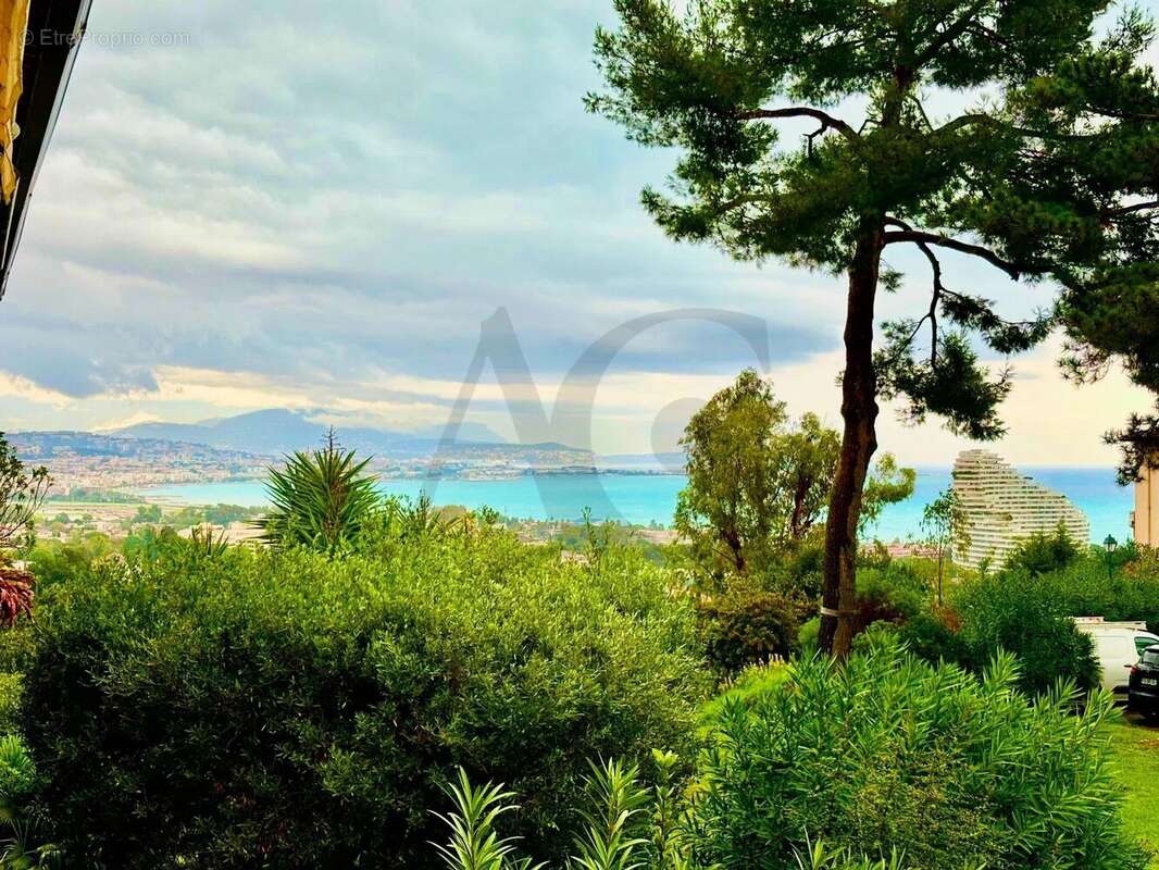 Appartement à VILLENEUVE-LOUBET