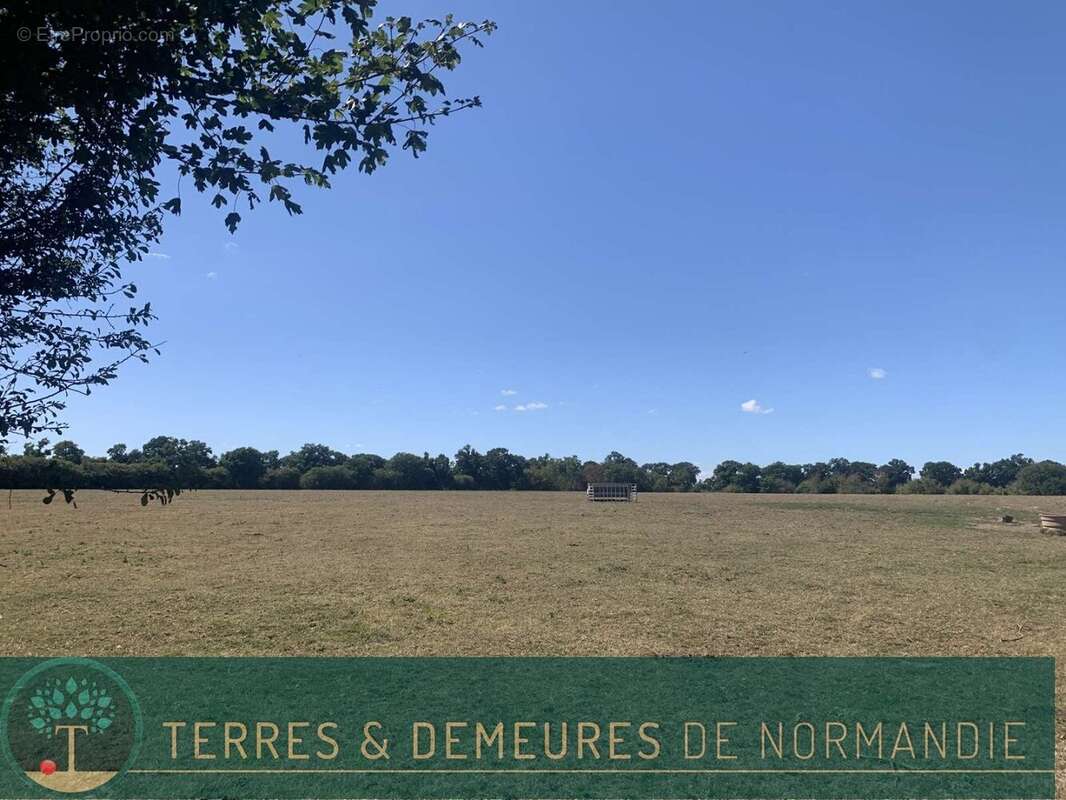 A VENDRE en NORMANDIE dans le département du CALVADOS région LE MOLAY-LITRY (14330) une exploitation agricole herbagère d'une su - photo 20