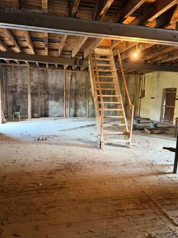 Cave 400 m² sur 2 etages avec toit terrasse - photo 14