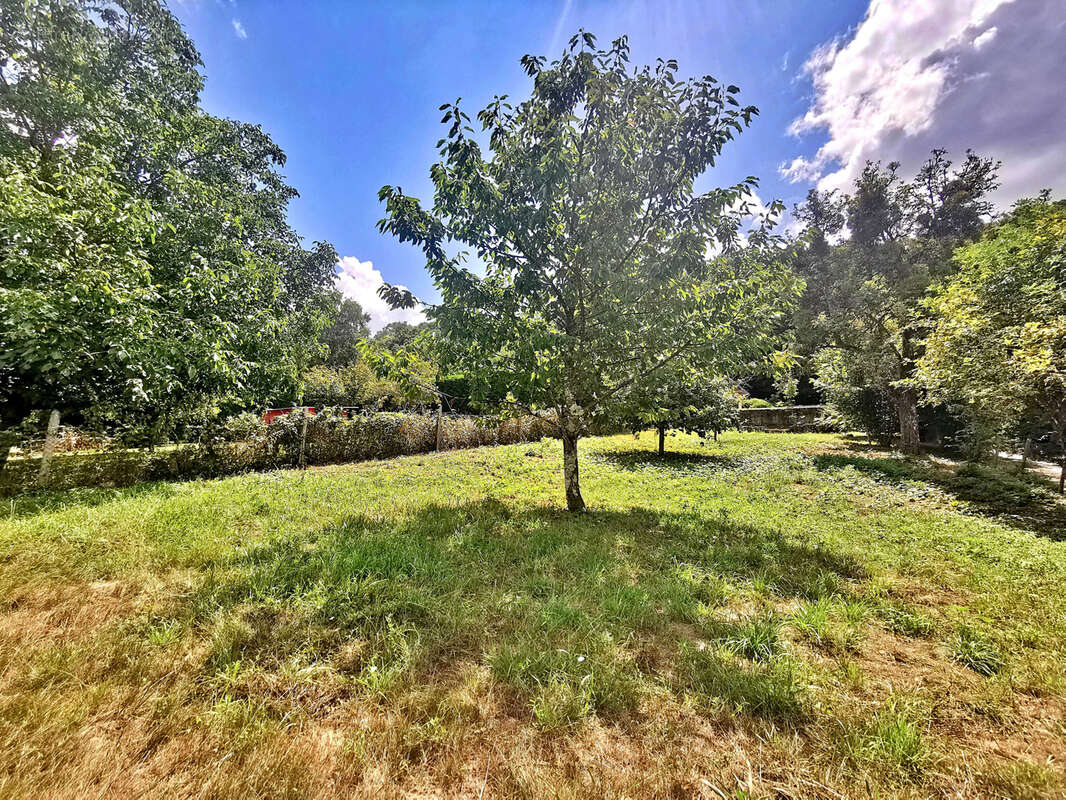 Terrain à SAINT-CHEF