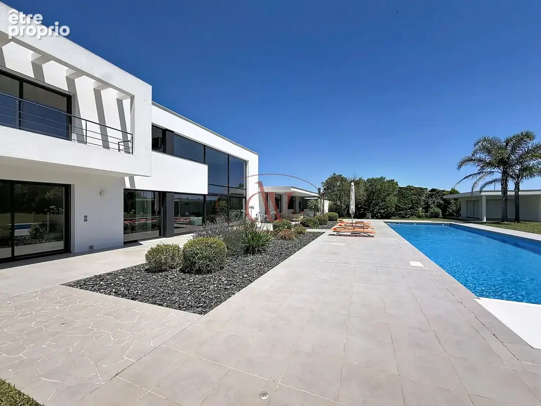 Mas llaro - exclusivite - photo 3