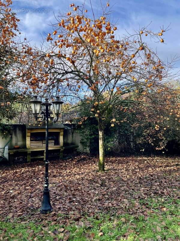 Maison à CHANCELADE