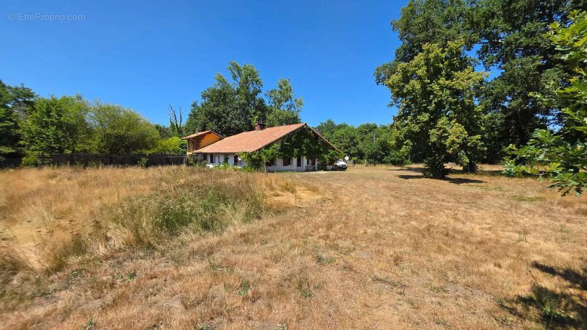 Magnifique et authentique Airial des Landes - photo 39